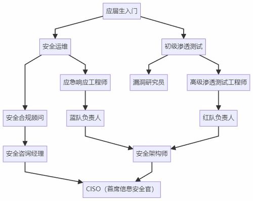 計算機生求職避坑指南 選網絡安全，比卷開發香太多